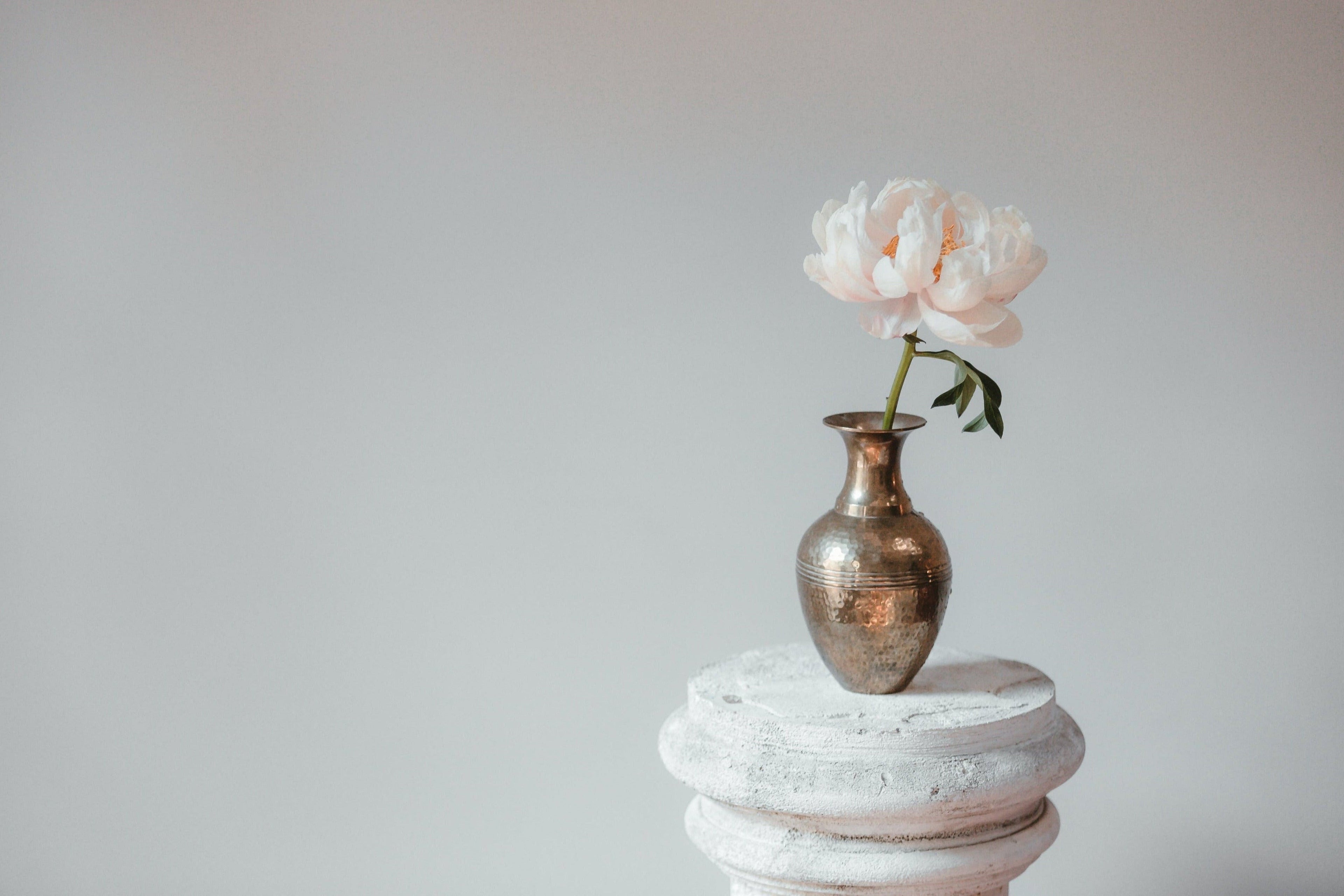 Bronze vase with a single pink peony flower on a white pedestal against a light gray background
